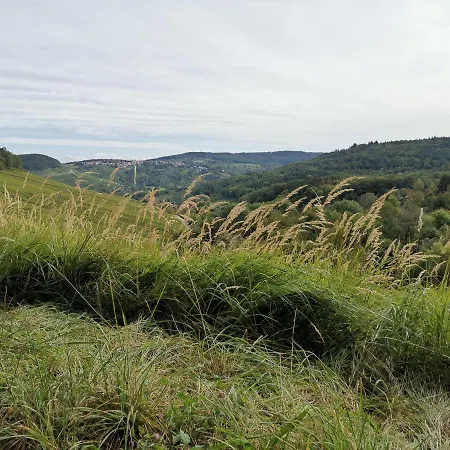 Lägenhet S-bahn Naehe *